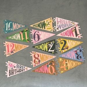 Lucy Darling Milestone Pennants, Set of 14, sold by Anthropologie